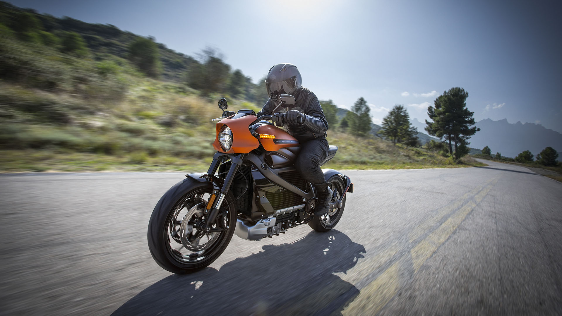 Harley-Davidson® LiveWire™