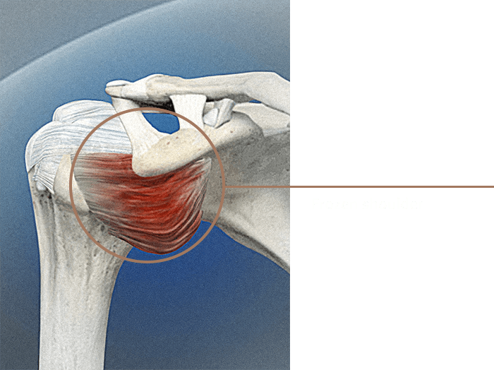 Conditions & Treatments