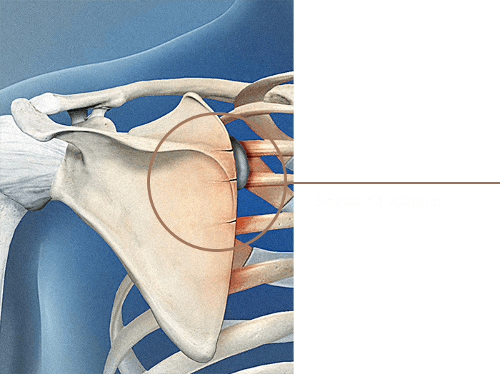 Conditions & Treatments