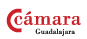 Logo Caja Guadalajara