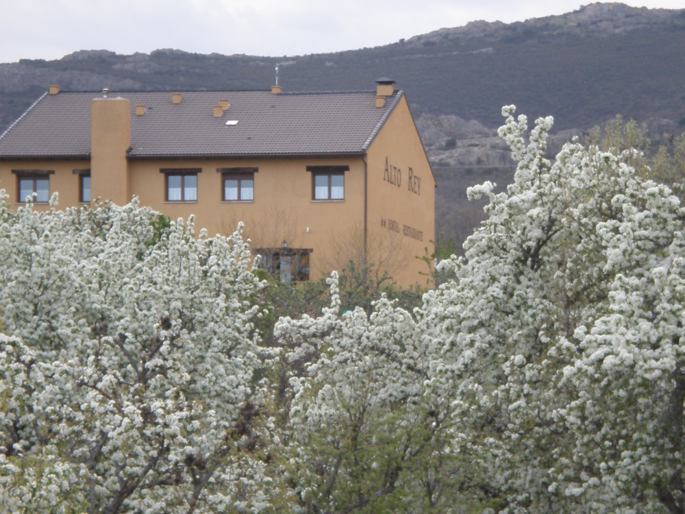 Hostal Restaurante Alto Rey