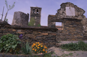 Campillo de Ranas