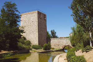 Guadalajara: Torreón del Alamín