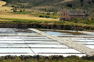 Salinas de Imón