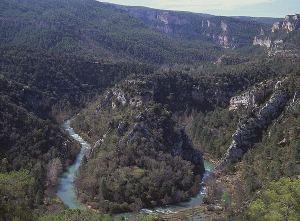 Parque Natural Alto Tajo