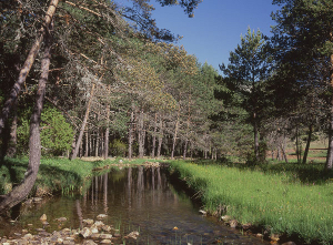 Parque Natural Alto Tajo