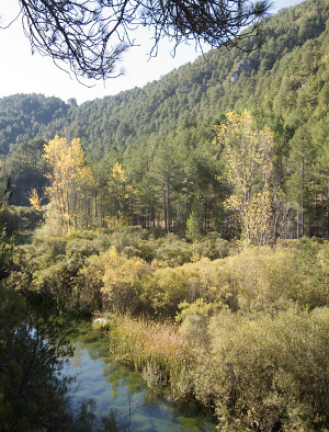 Parque Natural Alto Tajo