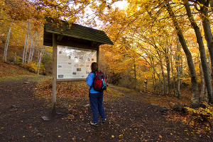Parque Natural de la Sierra Norte de Guadalajara