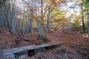 Parque Natural de la Sierra Norte de Guadalajara