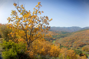 Parque Natural de la Sierra Norte de Guadalajara