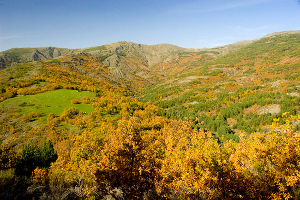 Parque Natural de la Sierra Norte de Guadalajara