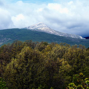 Pico Ocejón
