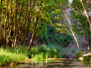 Parque Natural Barranco del Río Dulce