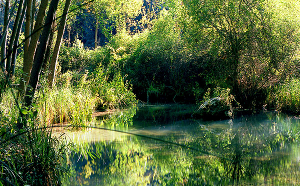 Parque Natural Barranco del Río Dulce