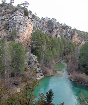 Alto Tajo: Alto Tajo, Parque Natural