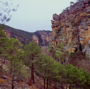 Alto Tajo: Parque Natural Alto Tajo