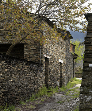 Arquitectura Negra: Roblelacasa