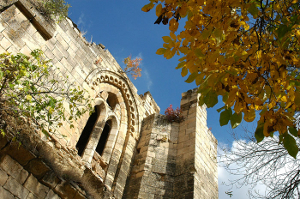 Arquitectura Negra: Monasterio de Bonaval