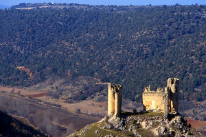Castillo de Pelegrina