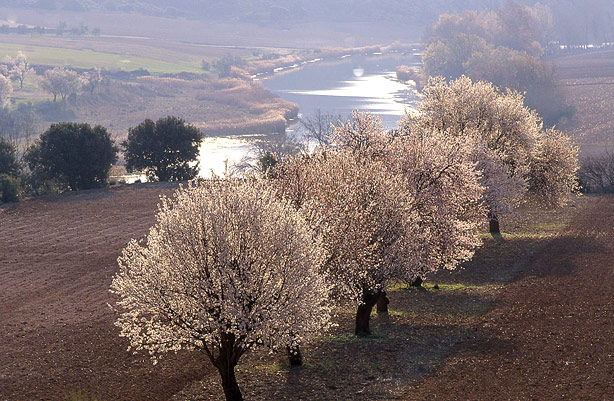 Comarca de La Alcarria