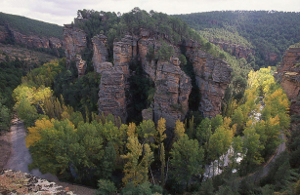 Señorio de Molina: Hoz del Río Gallo