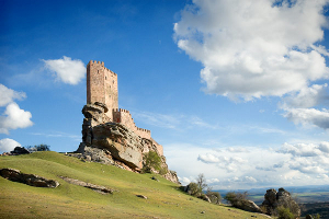 Señorio de Molina: Castillo de Zafra