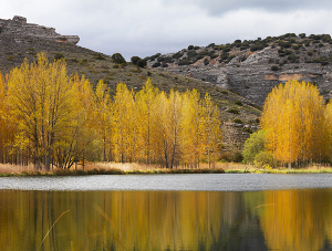 Serranías: Laguna de Somolinos