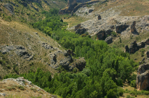 Parque Natural Barranco del Río Dulce
