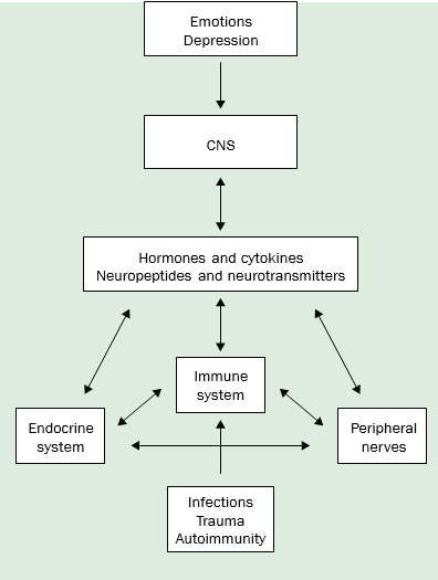 Stress, depression, the immune system, and cancer - Bwell Norge AS
