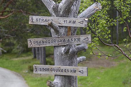 rekreasjon-og-avslapping-sommer.jpg