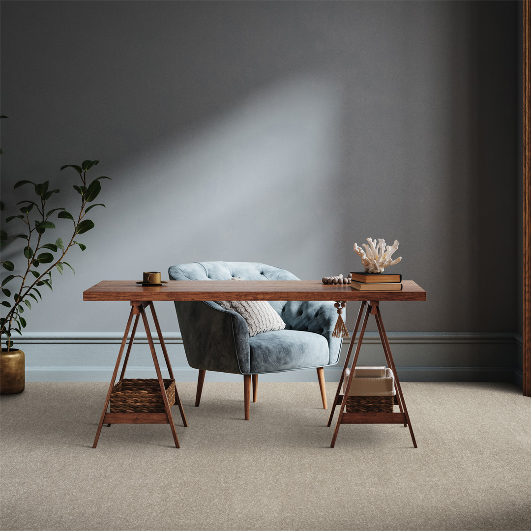 BelflorSDNLuxe-2.jpg