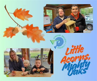 Little Acorns, Mighty Oaks