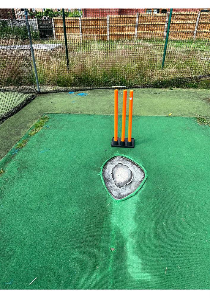 Ormskirk Cricket Club Netfix Appeal