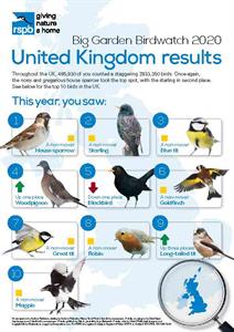 uk-results.jpg