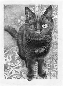 ziggy-drawing.jpg