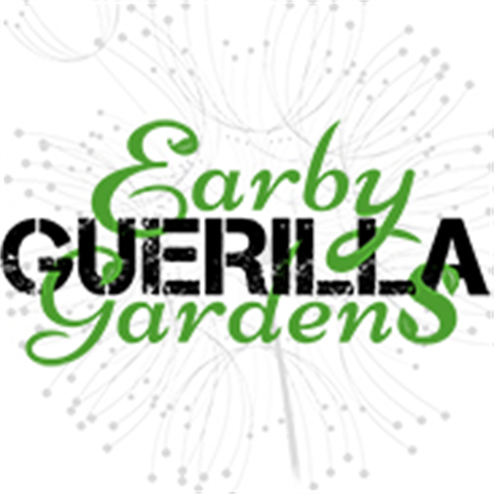 Earby Guerilla Gardens