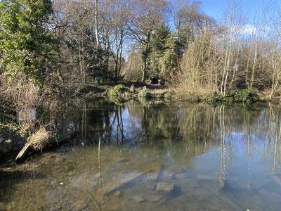 dipping-platform-looking-to-island.jpg