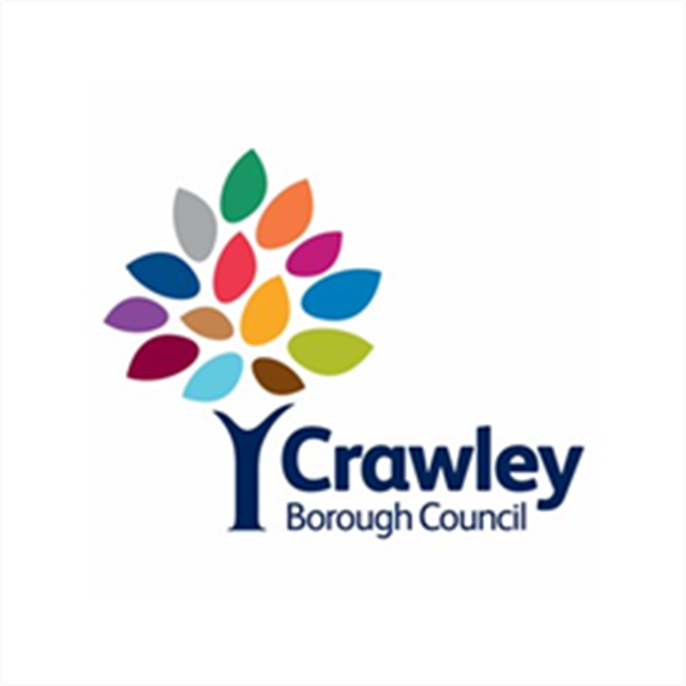 Largest pledge from Crawley Borough Council