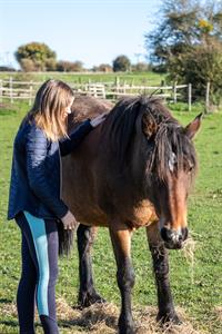 046-kent-equine-facilitated-learning-graham-baker-photography-046.jpg