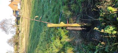 img-20221210-141915.jpg