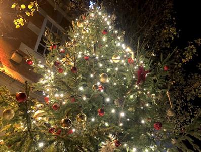 xmas-tree-lights-01-rs-cropped-banner.jpeg