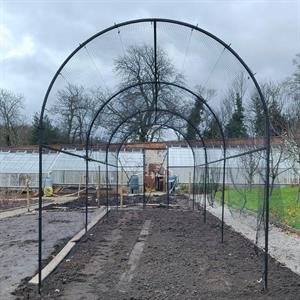 whipping-the-netts-on-the-fruit-cage.jpg