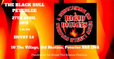 fundraiser-for-break-the-silence-festival-2.png
