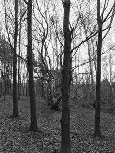 img-0058.jpg