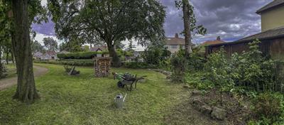 bobby-s-wood-maghull-bug-house-mum-s-plum-copy-1.jpg