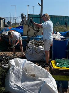 sorting-nets.jpg