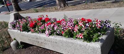 water-trough.jpg