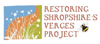 rsvp-logo-with-border.jpg