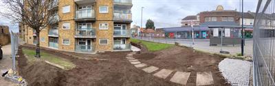 panorama-oasis.jpeg