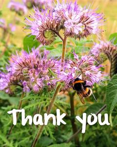 thank-you.jpg